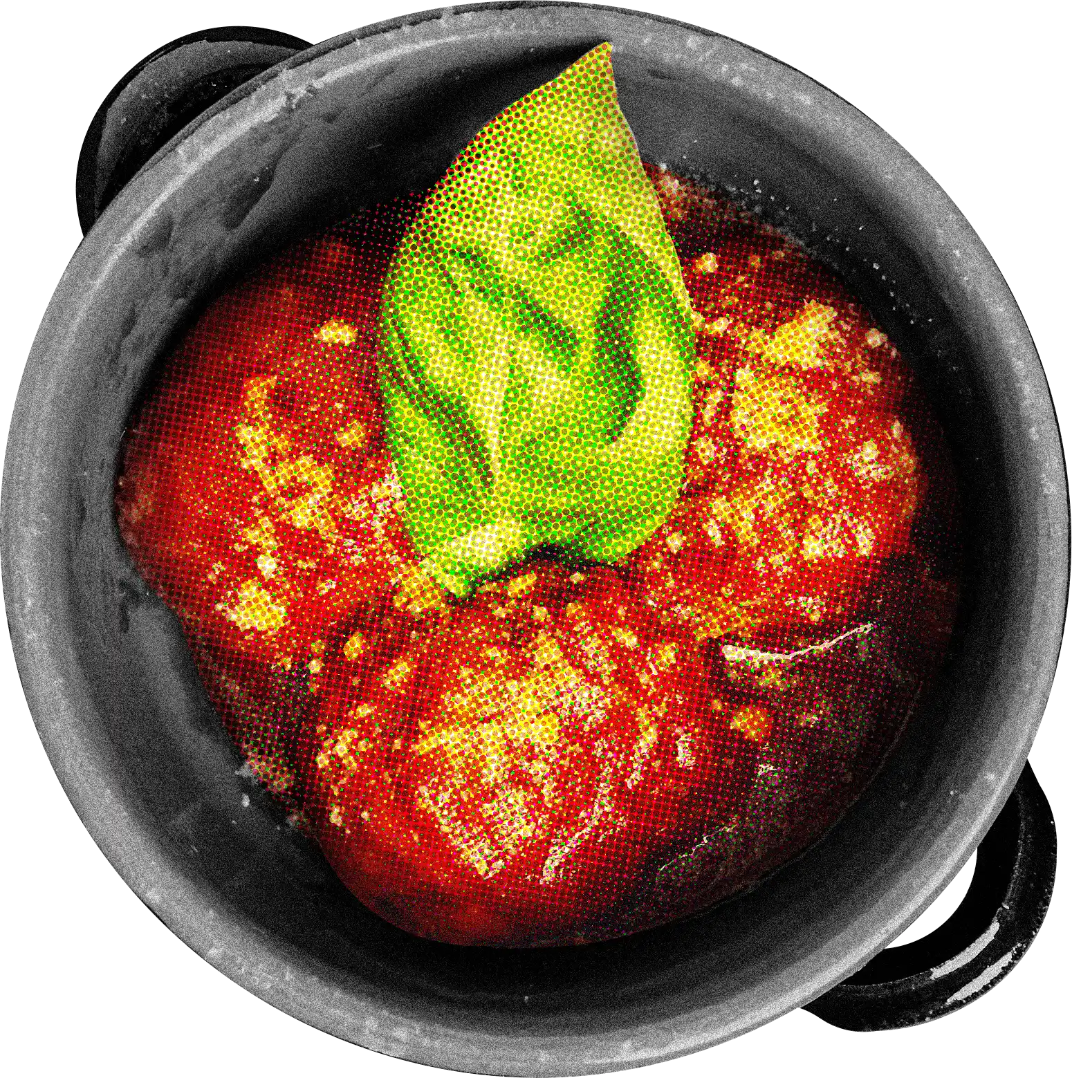 Delle polpette al ragù di TIGRELLA